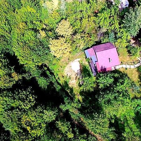 Mystically Wood House In The Forest Carjari Zewnętrze zdjęcie