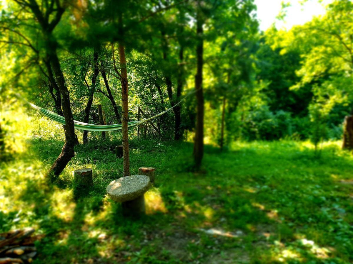 Mystically Wood House In The Forest Carjari Zewnętrze zdjęcie
