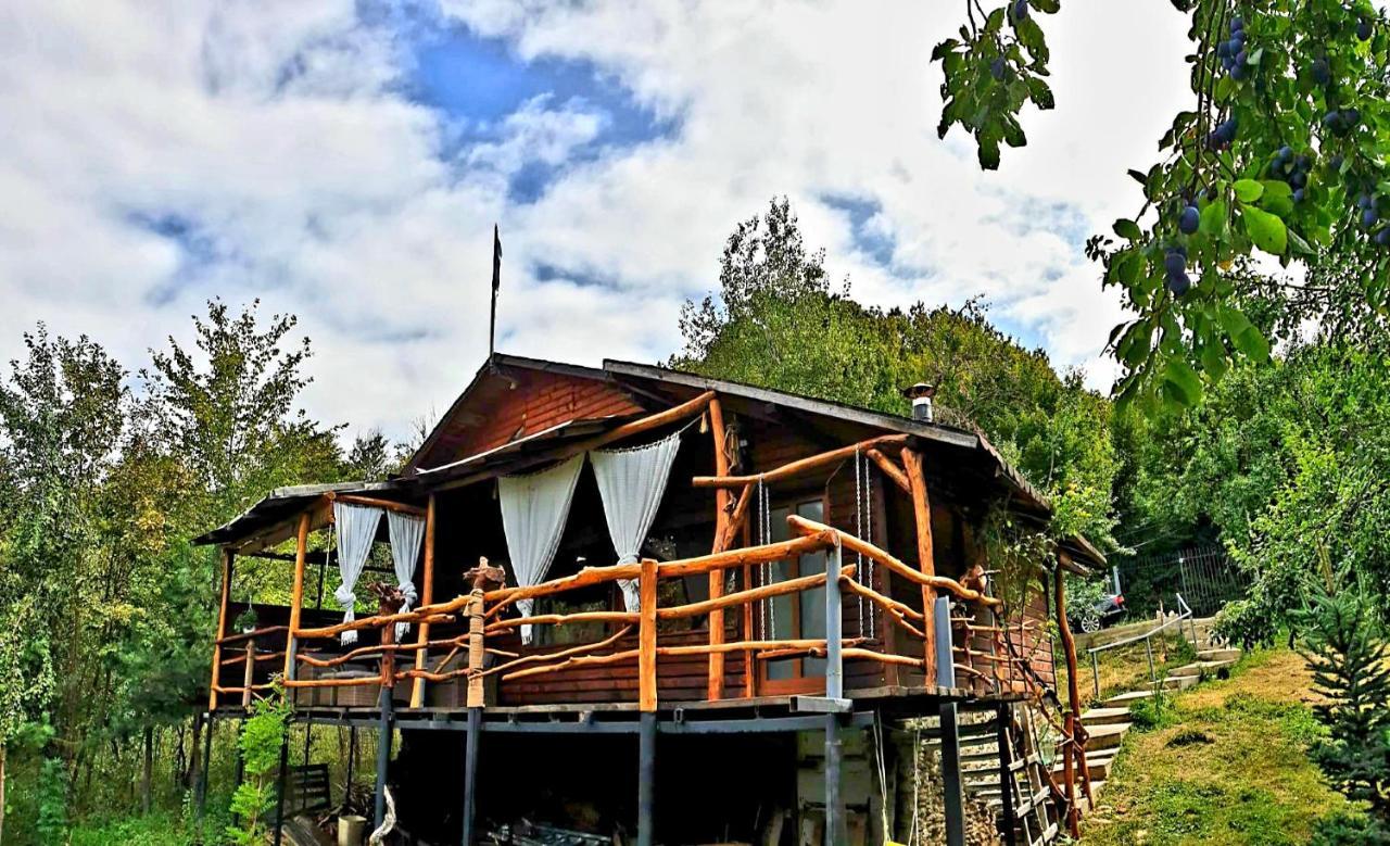 Mystically Wood House In The Forest Carjari Zewnętrze zdjęcie